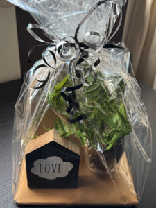 Decoratie setje 3-delig Enjoy Home