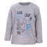 Set van 2 baby longsleeves Winnie de Poeh ! _